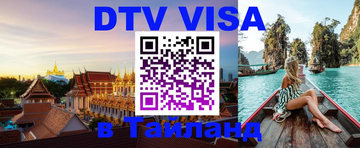 Сколько стоит DTV виза — актуальные цены, оформление даже без документов - онлайн 